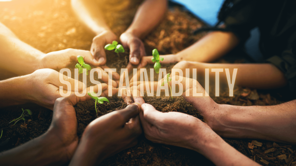 Teaching Kids About Sustainability: A Parent's Guide