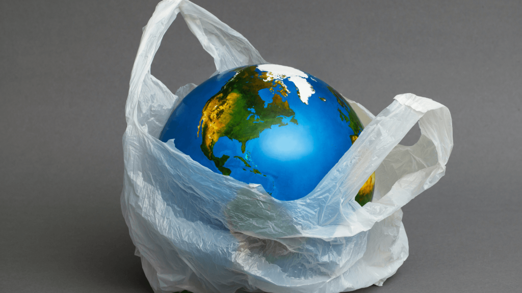 Role of Governments and Policies in Plastic Reduction